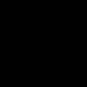 Meet your Posher, Nora